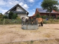 2018_07_31 Ludwigsau besucht Lebenshof für Nutztiere 02