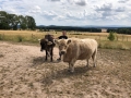 2018_07_31 Ludwigsau besucht Lebenshof für Nutztiere 07